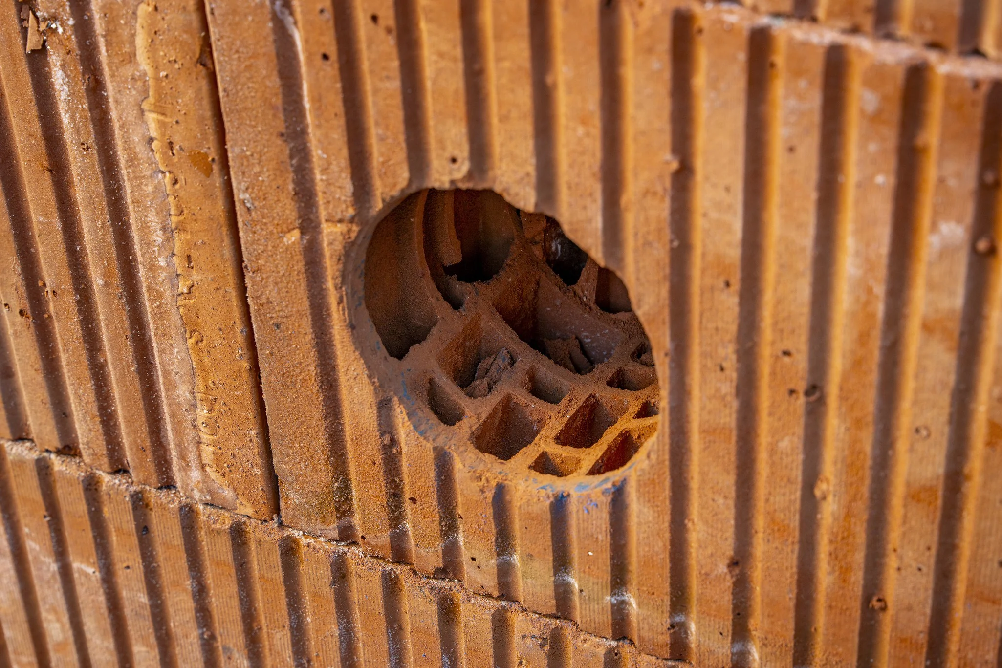 Spanndorn extralang - Image 3